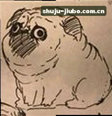 赵明